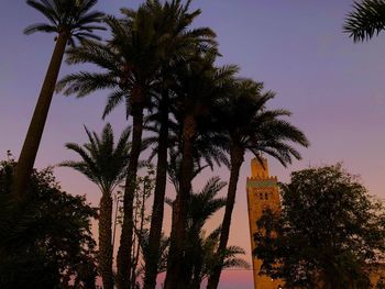 Low angle view of palm trees against sky