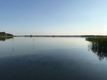 Scenic view of lake against clear blue sky