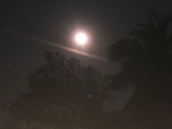 Low angle view of silhouette trees against sky at night