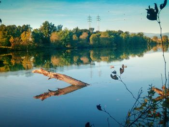 Reflection of trees in lake against sky