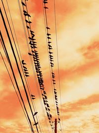 Low angle view of silhouette electricity pylon against orange sky