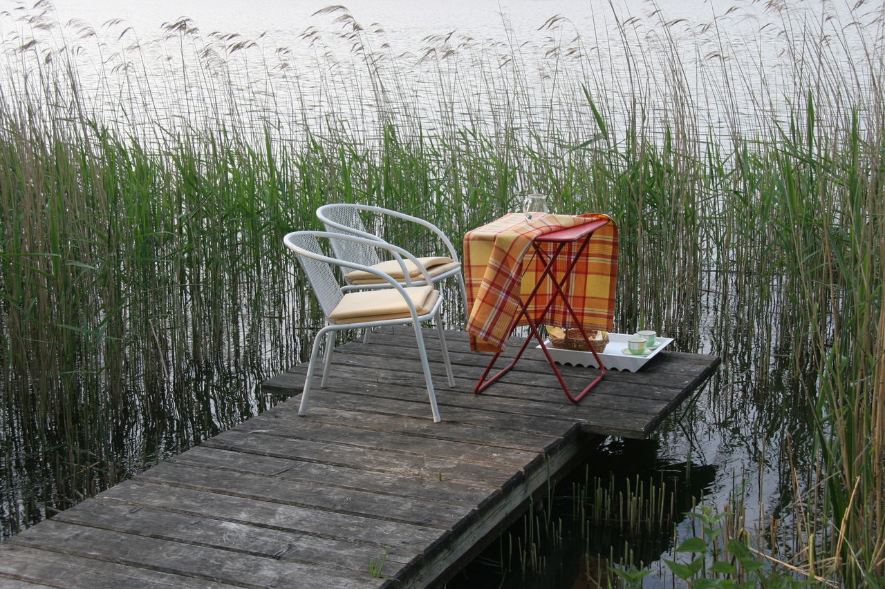 CHAIRS AND PLANTS IN GREENHOUSE