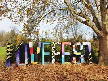 Multi colored chairs by trees in park during autumn