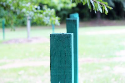 Close-up of green grass