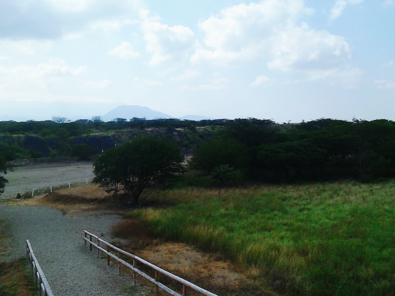 sky, tranquil scene, tree, tranquility, cloud - sky, landscape, grass, scenics, nature, beauty in nature, mountain, cloud, growth, field, water, non-urban scene, day, cloudy, plant, green color