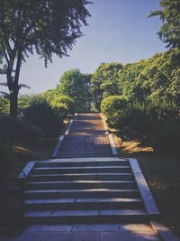 Steps amidst trees against clear sky