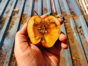 Close-up of hand holding fruit