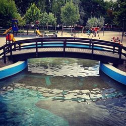 Reflection of trees in water