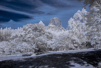 Snow covered land and trees against sky