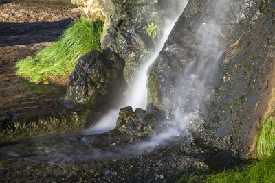 Scenic view of waterfall in forest