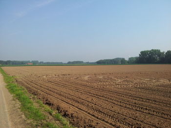 Scenic view of field against clear sky