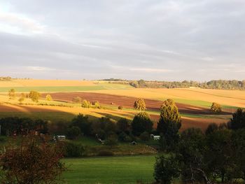 Scenic view of agricultural field against sky