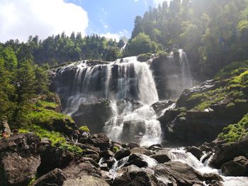 Scenic view of waterfall in forest