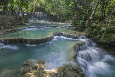Scenic view of waterfall in forest