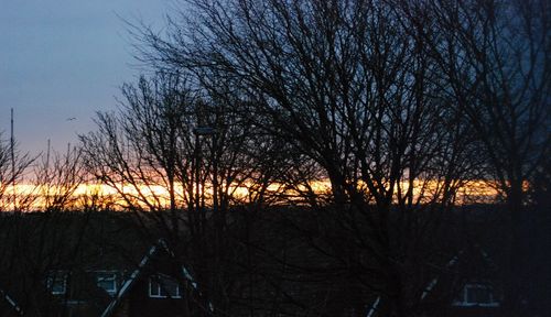 Silhouette bare trees and buildings against sky at sunset