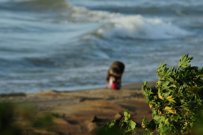 Woman on beach