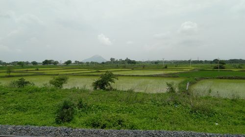 Scenic view of field against sky