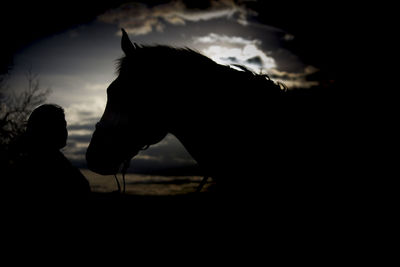 Silhouette of horse against sky at sunset
