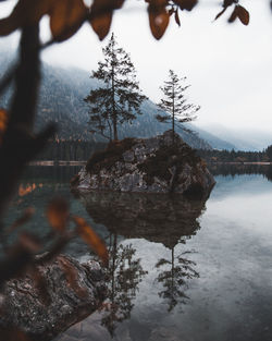 Reflection of tree in lake against sky during winter