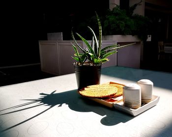Potted plant on table