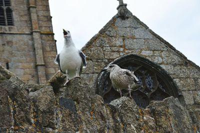 Low angle view of built structure