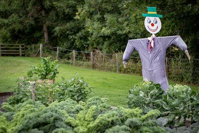 Scarecrow by vegetables in garden