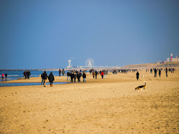 People at beach against clear blue sky