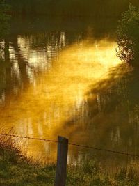 Scenic view of lake in forest during sunset