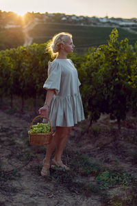 Woman with a wicker basket of green grapes stands in her vineyard at sunset