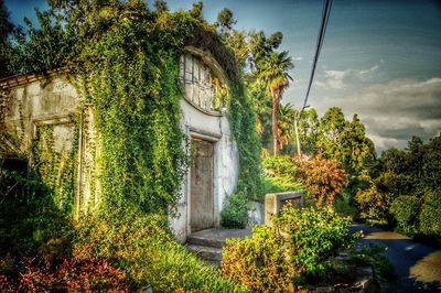 Plants and trees in front of built structure