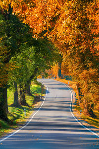 Road amidst trees in city during autumn