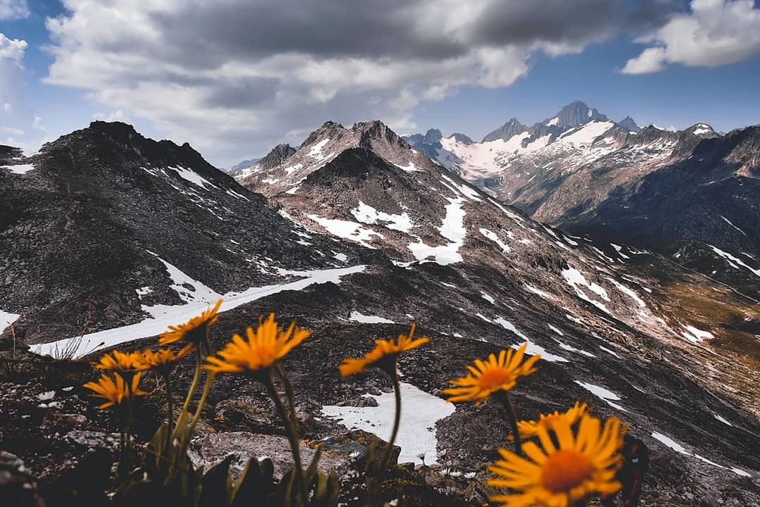 mountain, beauty in nature, sky, cloud - sky, flower, plant, flowering plant, nature, mountain range, scenics - nature, freshness, cold temperature, snow, winter, growth, day, fragility, vulnerability, tranquility, no people, snowcapped mountain, flower head, outdoors, mountain peak