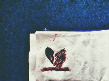 High angle view of plant against blue wall