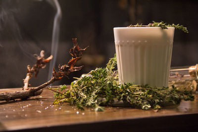 Close-up of potted plant on table