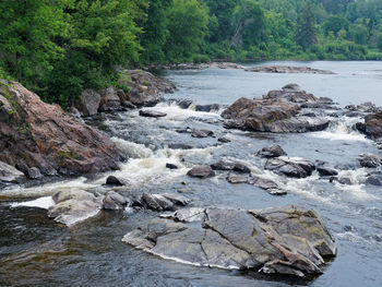 Stream flowing through rocks in forest