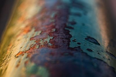 Close-up of rusty metal wood