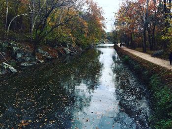 River amidst trees in forest during autumn