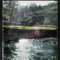 Scenic view of river with trees in background