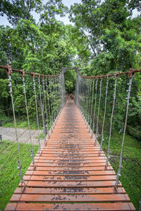 Footbridge over footpath amidst trees