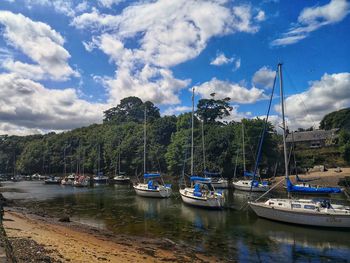 Sailboats moored in marina