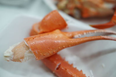 Close-up of seafood in plate