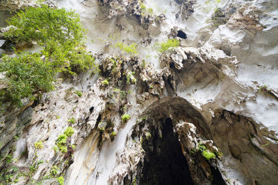 Close-up of rock formation in cave