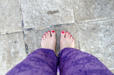 Low section of women with painted toenail