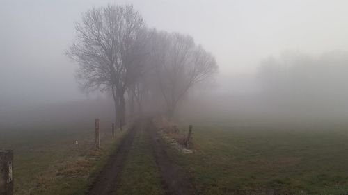 Trees on field against sky during foggy weather