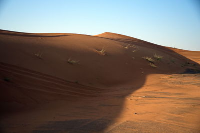 Around nazwa and pink rock desert, viewing of the sand and plant in the desert, sharjah, uae