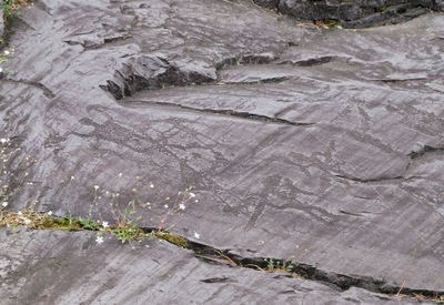 Full frame shot of rock