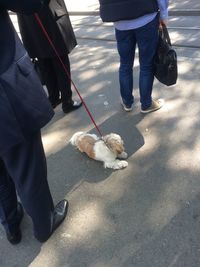 Low section of woman with dog walking on street