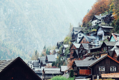 High angle view of houses and trees in city