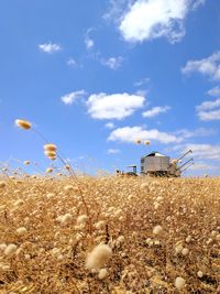 Hay bales on field against sky