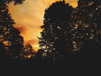 Close-up of silhouette trees against sky during sunset